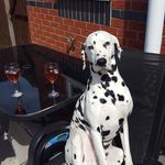 Lucy Jo Coyle - @lucyjocoyle - Instagram