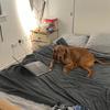 Lucy Crouch - @lucy._.cr0uch - TikTok