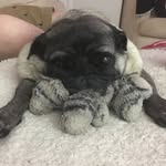 Lucy - @lucy__crouch - Instagram