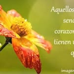 Lucy De Jesus - @lucy.dejesus.9210 - Instagram
