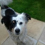 Lucy Denton - @luckforlucy - Instagram