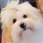 Lucy 🎂 2/17/2021 🔆San Diego - @lillucycoton - Instagram