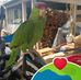 Lucy Diego - Facebook