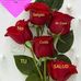 Lucy Diego - Facebook