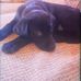 Lucy Dooley - Facebook