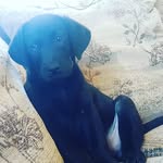 lucy mary dooley - @johnjdooley2014 - Instagram