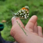 Lucy downs - @x_lucys_photography_ - Instagram