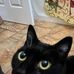 Lucy Downs - Facebook