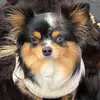 Lucy_Driscoll - @lucy_driscoll - TikTok