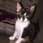 Lucy Dye - @live_love_lucy - Instagram