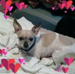 Lucy Dye - Facebook