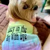 Lucy in the Sky with Dye - @lucyintheskywithdye - TikTok