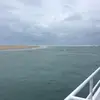 Lucy - @lucy.dyee - TikTok