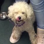 lucy_easterton - @lucy_easterton - Instagram
