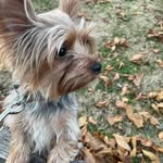 Lucy💞 - @lucy.easterrr - Instagram