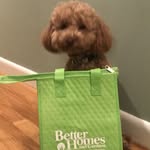 Lucy Edge - @realestatepup - Instagram