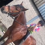 Lucy Elmore - @lucyelmore5 - Instagram