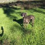 Lucy Erickson - @lucy_weim - Instagram