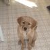 Lucy Erickson - Facebook