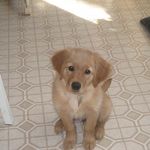 Lucy Erickson - @lucyerickson412 - Instagram