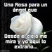 Lucy Esquivel - Facebook