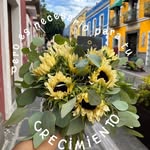 lucy Esquivel - @lucyesquivel9 - Instagram