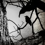 Lucy Fair - @lucyfair667 - Instagram