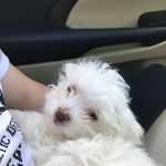 Lucy Cindy Finney - @lucy_finney17 - Instagram