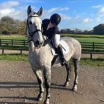 Lucy fleming🇬🇧 - @lucyfleming.eq - Instagram