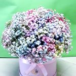 Lucy Flora - @lucy.flora4 - Instagram