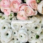 Lucy Floraldeco - @lucy.floraldeco - Instagram