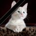 Lucy Fraser - Facebook
