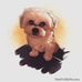 Lucy Fraser - Facebook