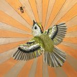 Lucy Fraser - @lucy.fraser.nature.painter - Instagram