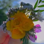 Lucy Fulton - @lucyfulton467 - Instagram