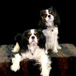 Lucy Galbraith & Leon Fletcher - @wherearejulioandlola - Instagram