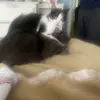 lucy & gary fanpage - @lucy.gary.fanpage - TikTok