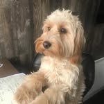 Lucy Gavin❤️❤️ - @lucygavin63 - Instagram