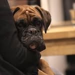 Lucy Glassenbury - @lucyglassenbury - Instagram