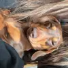 lou🙂 - @lucygoff15 - TikTok
