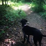Lucy Goff - @lucyhikestheat - Instagram