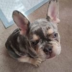 Lucy goff - @lucygoff1977 - Instagram