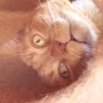 Gaby Lucy Jiron Graff - @goobergoober84 - Instagram