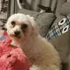 Lucy Gräff - @lucinda1405 - TikTok