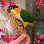 Lucy Hahn - @auntlu21 - Instagram