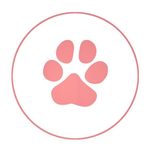 Hildy’s Doggos - @lucy_halsey_sassy - Instagram