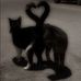 Lucy Harvey - Facebook