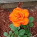 Lucy Hebert - Facebook