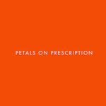 Lucy F Herbert - @petalsonprescription - Instagram