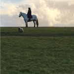 Lucy Herbert - @lifenowx - Instagram